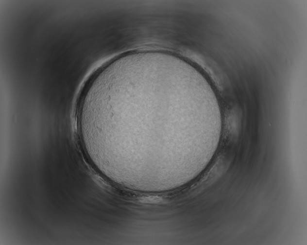 X0000086791462200705111805