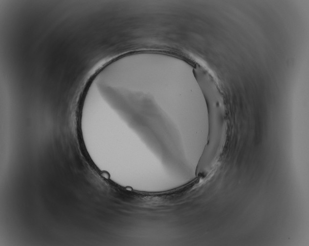 X0000086791463200705111805