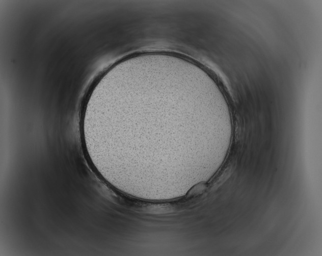 X0000086791464200705111805