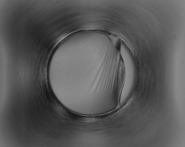 X0000086791465200705111805