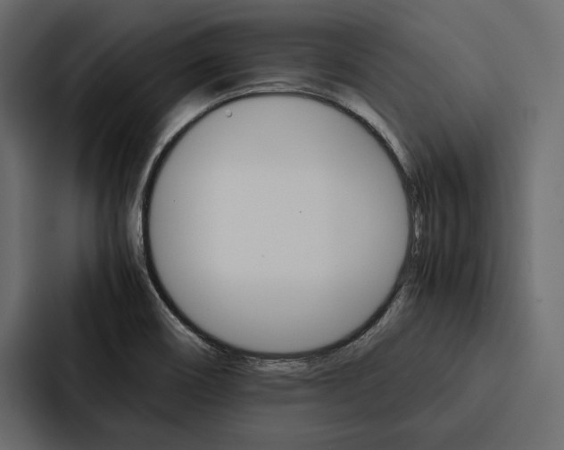 X0000086791466200705111805