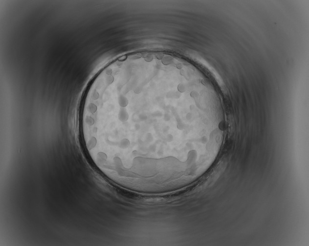 X0000086791467200705111805