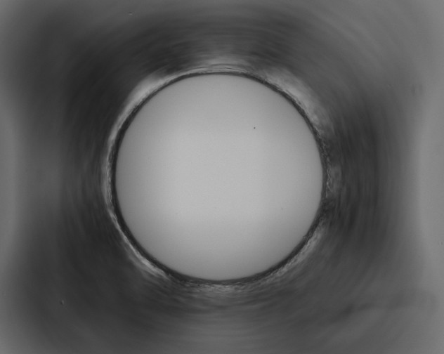 X0000086791470200705111805