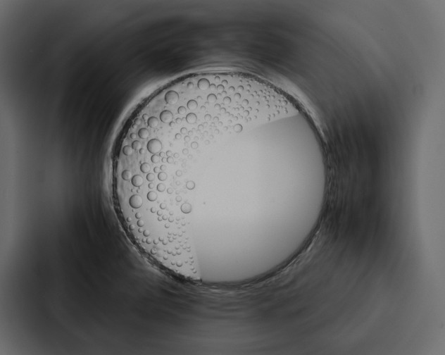 X0000086791472200705111805