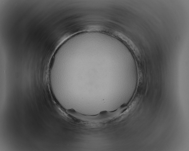 X0000086791473200705111805