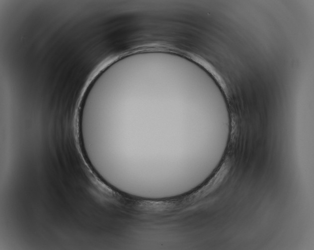 X0000086791474200705111805