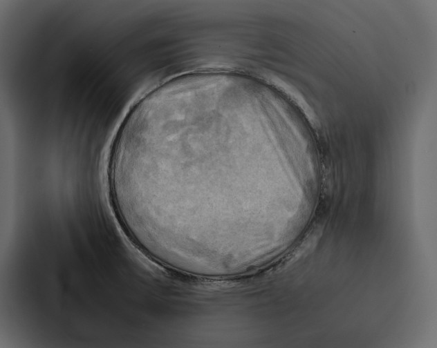 X0000086791475200705111805