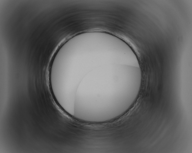 X0000086791476200705111805