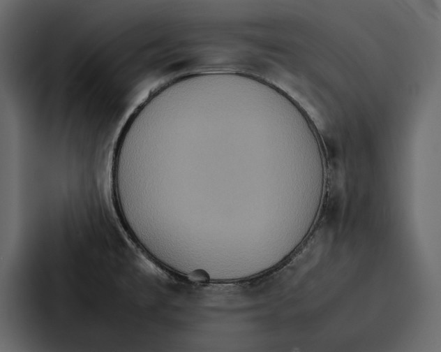 X0000086791477200705111805