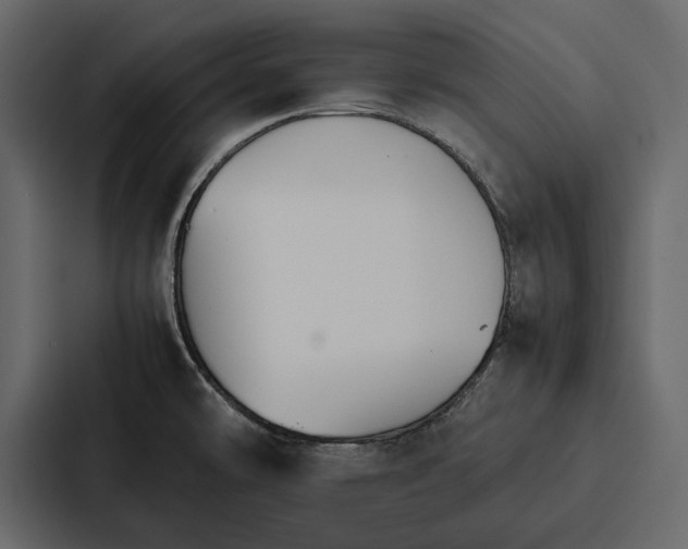 X0000086791478200705111805