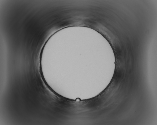 X0000086791479200705111805