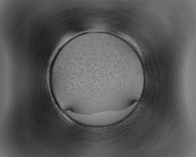 X0000086791480200705111805