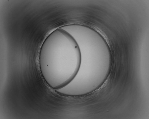 X0000086791481200705111805