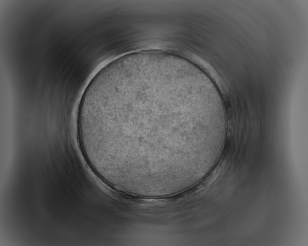 X0000086791483200705111805