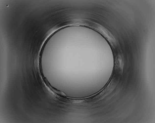 X0000086791484200705111805