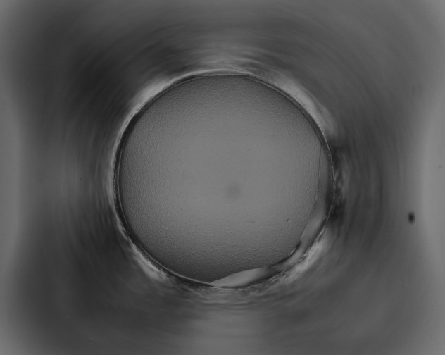 X0000086791485200705111805