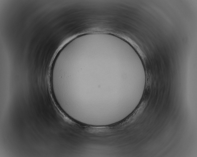 X0000086791486200705111805