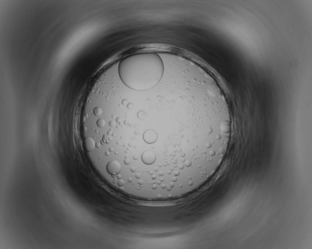 X0000086791487200705111805