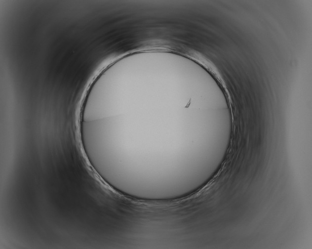 X0000086791488200705111805