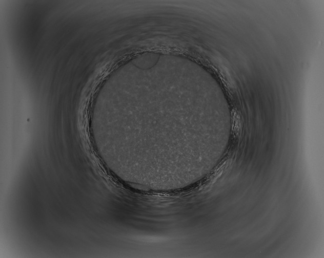 X0000086791489200705111805