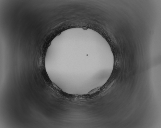 X0000086791490200705111805