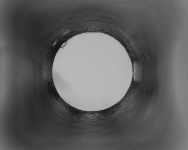 X0000086791491200705111805