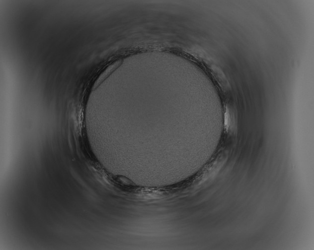 X0000086791492200705111805