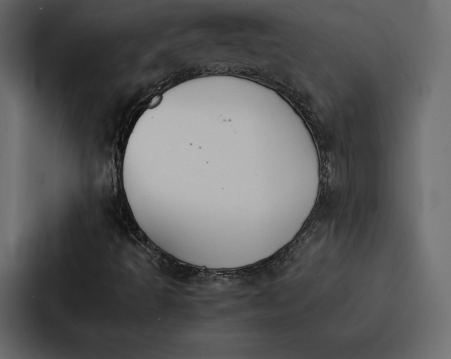 X0000086791493200705111805