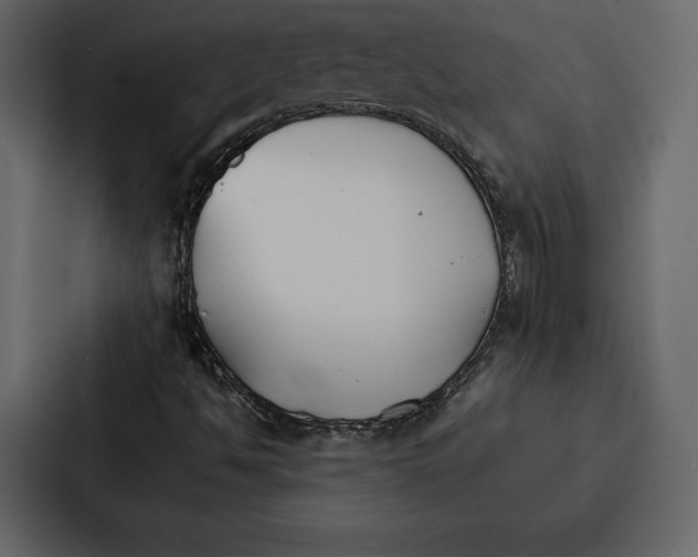 X0000086791494200705111805