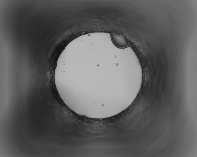 X0000086791495200705111805