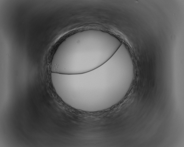 X0000086791496200705111805