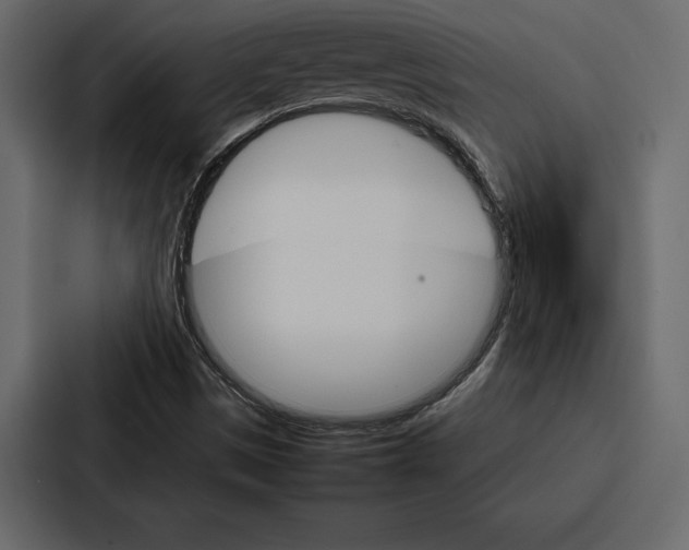 X0000086791497200705111805