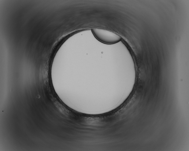 X0000086791499200705111805