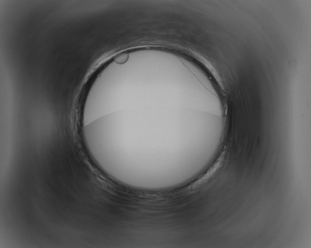 X0000086791501200705111805