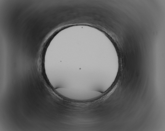 X0000086791502200705111805