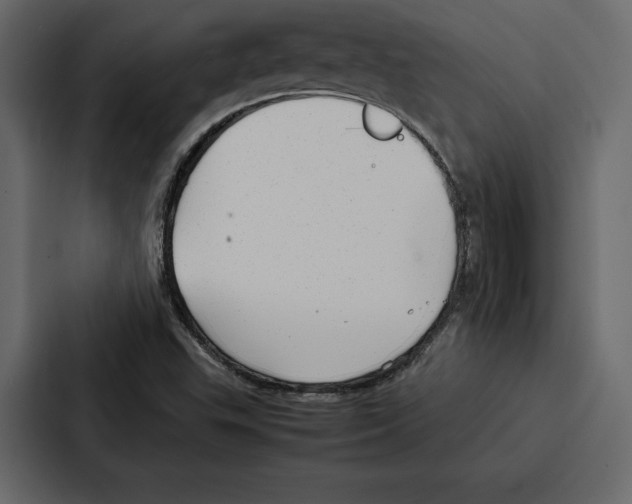 X0000086791503200705111805