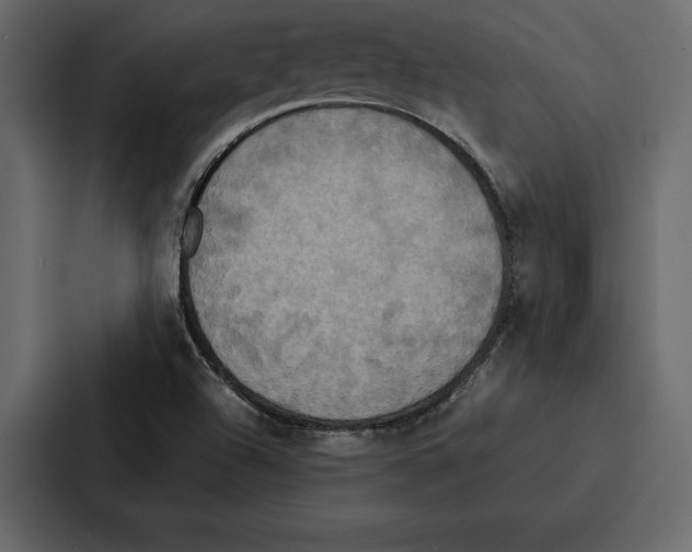 X0000086791504200705111805