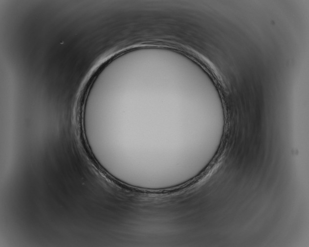 X0000086791506200705111805