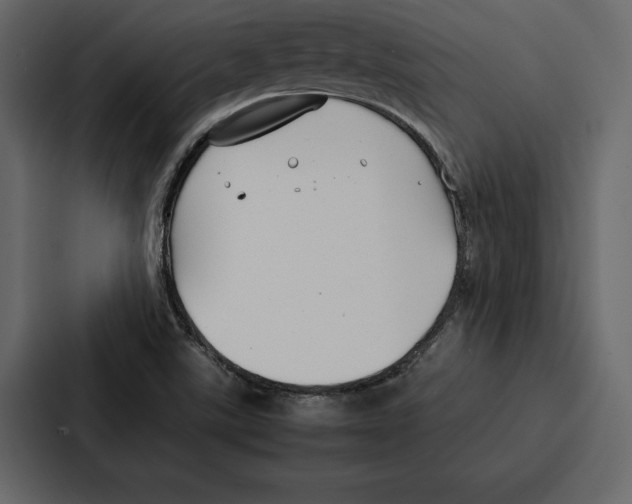 X0000086791507200705111805