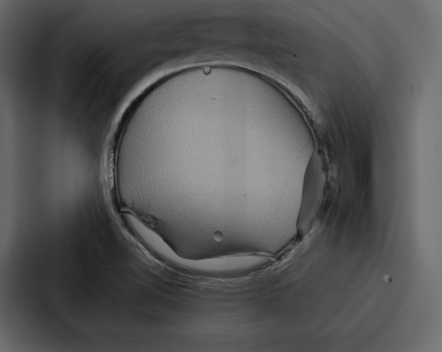 X0000086791510200705111805