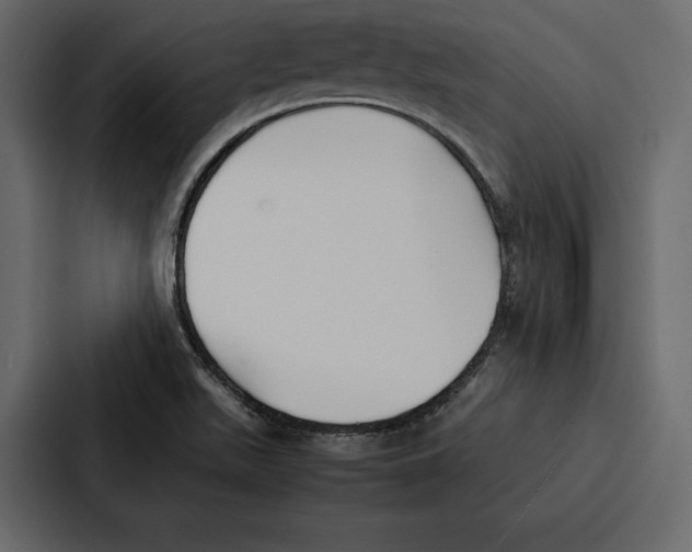 X0000086791511200705111805