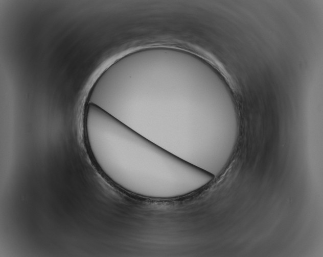 X0000086791512200705111805