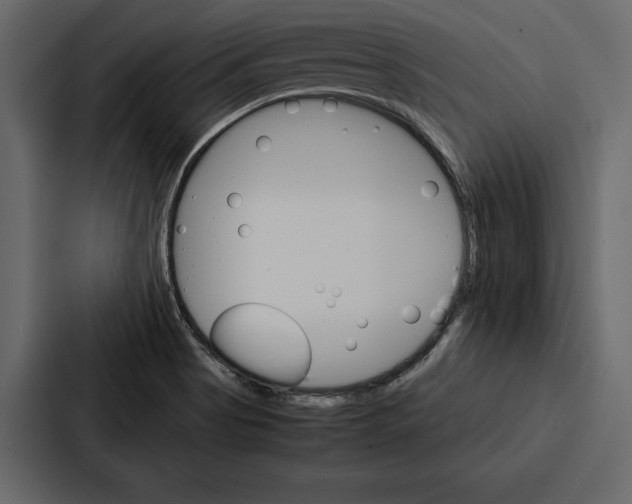 X0000086791513200705111805