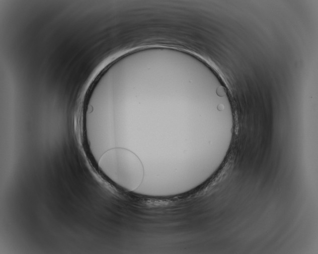 X0000086791515200705111805