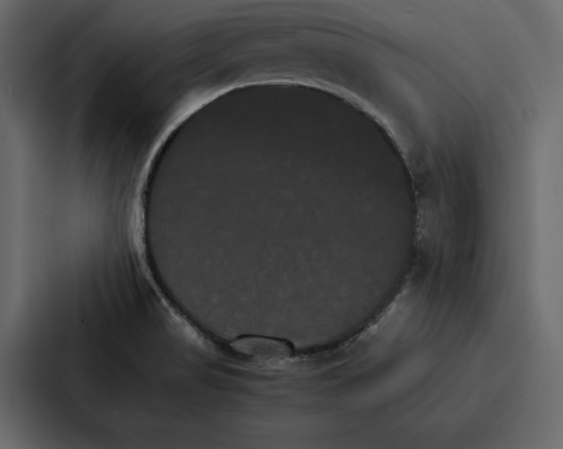 X0000086791517200705111805