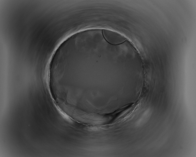 X0000086791519200705111805