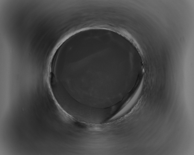 X0000086791520200705111805