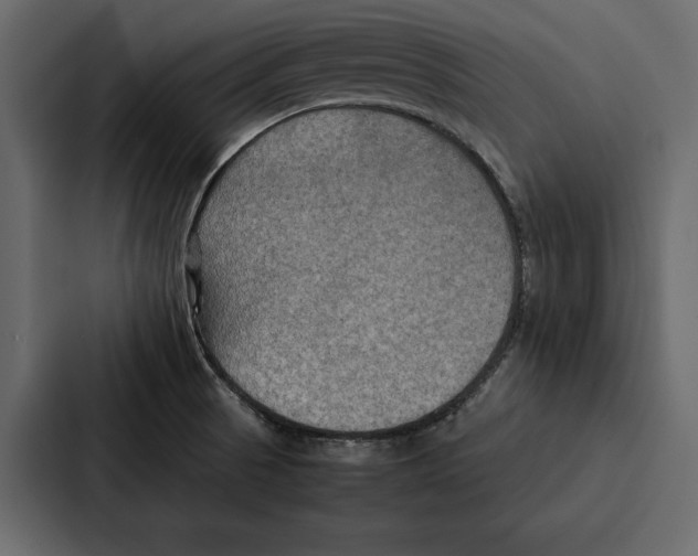 X0000086791521200705111805