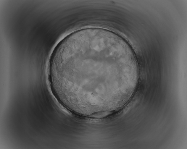 X0000086791522200705111805