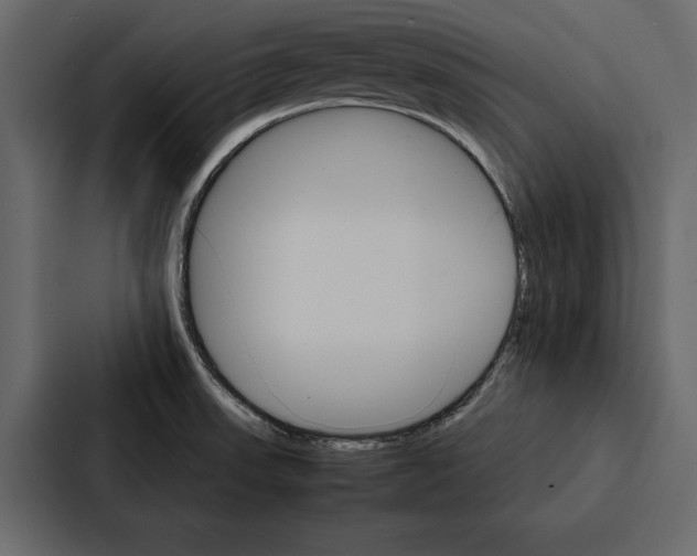 X0000086791523200705111805